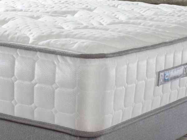 sealy sapphire latex mattress